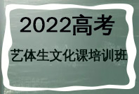 大智教育2023艺体生文化课培训班