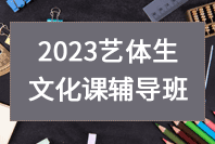 大智教育2023艺体生文化课培训班